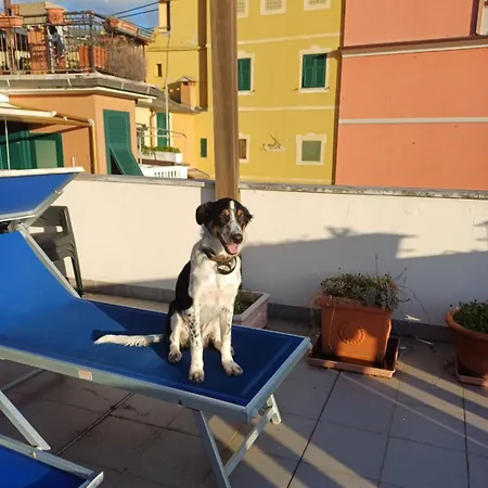 Giulia